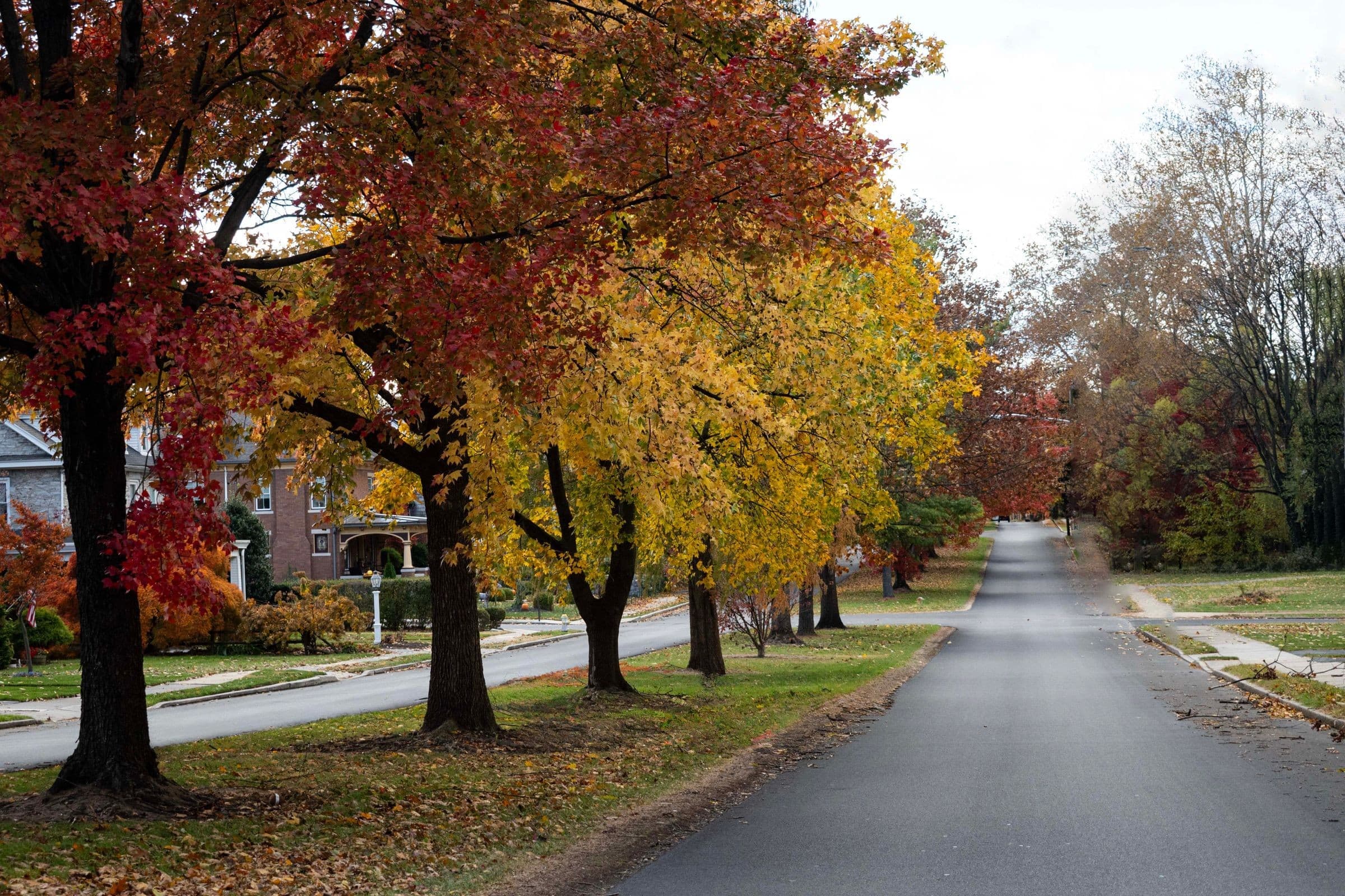 Towing West Peoria IL: residential street lined with red and yellow autumn trees, the kind of road our trucks cover around West Peoria