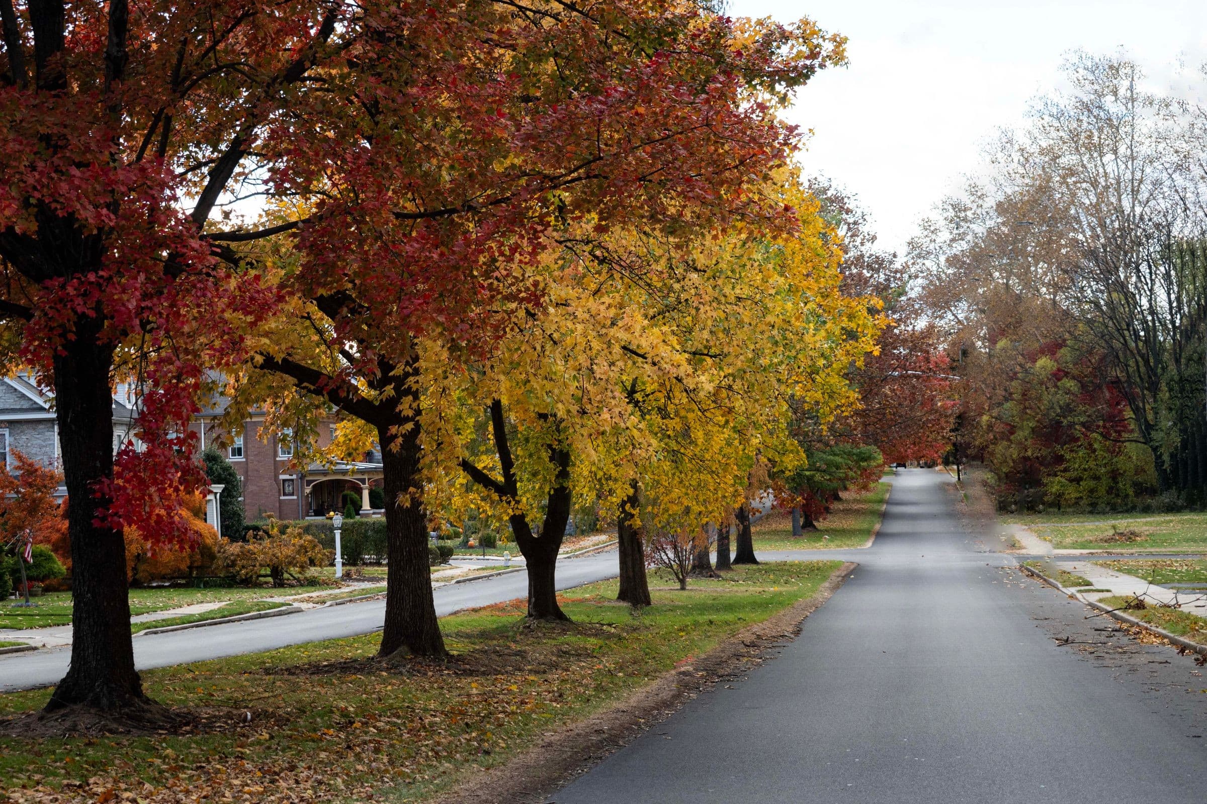 Towing West Peoria IL: residential street lined with red and yellow autumn trees, the kind of road our trucks cover around West Peoria